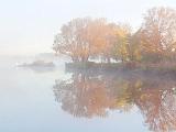 Foggy Rideau Canal_22490